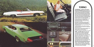 1971 Ford Sports Set-04-05.jpg